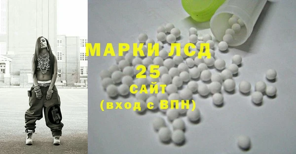 шишки Новодвинск