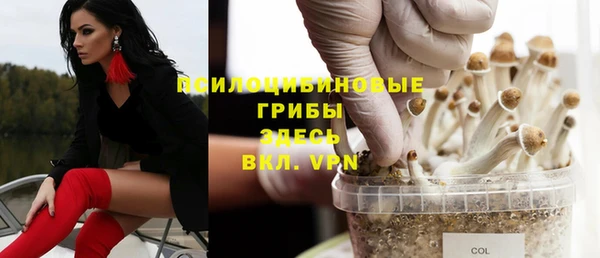 прущая мука Новозыбков