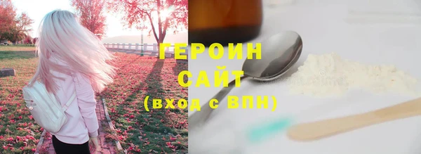 шишки Новодвинск
