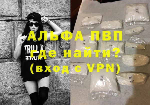 шишки Новодвинск