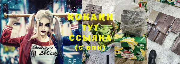 мяу мяу кристалл Няндома