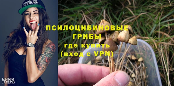 мяу мяу кристалл Няндома