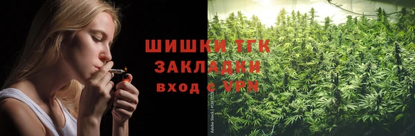 шишки Новодвинск