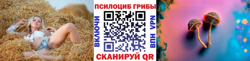 Псилоцибиновые грибы Magic Shrooms  Ирбит 