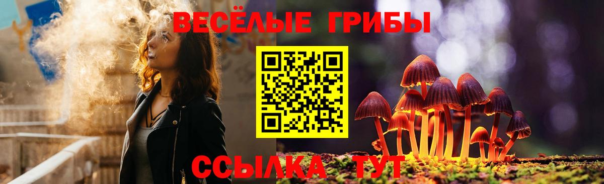 Галлюциногенные грибы ЛСД  Ирбит  Псилоцибиновые грибы Cubensis 